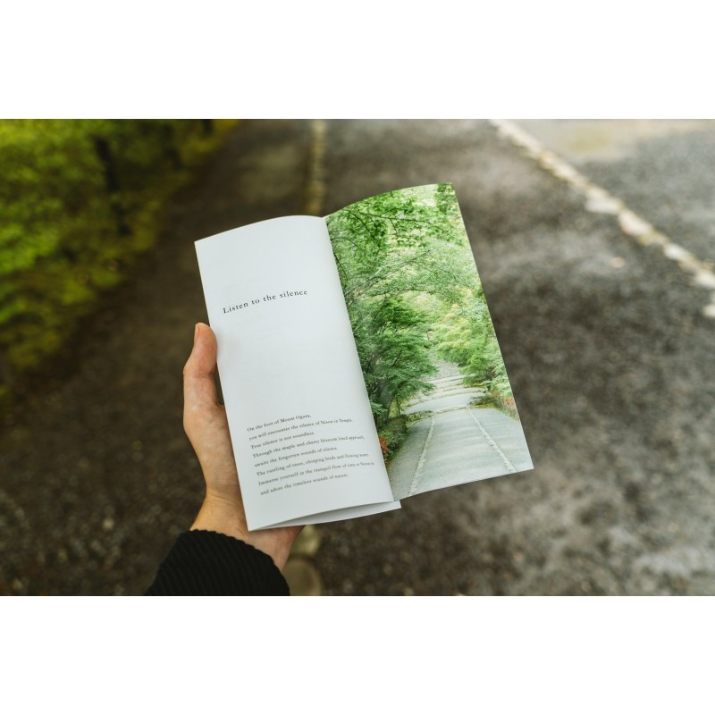 Distribuție de Materiale Publicitare